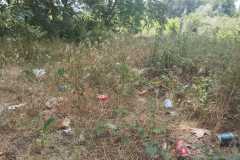 Recollida basura Hostalric Junio 2025-1
