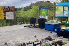Taller infantil de huerto ecológico abril 2025-4